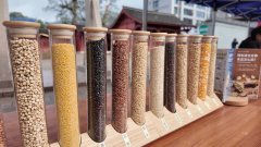 <strong>2025年庆元县食物平安宣传周从场勾当举行</strong> 